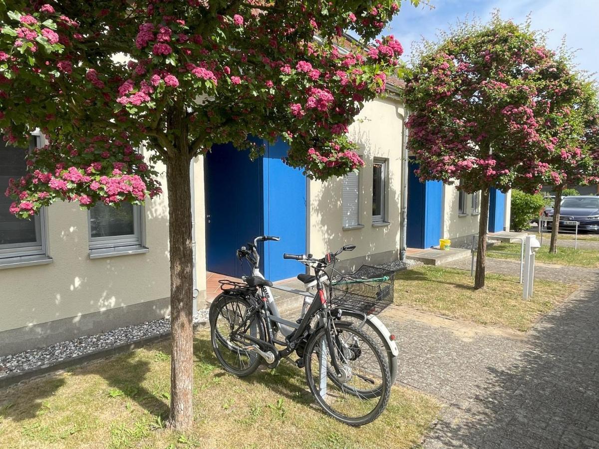 Dewichow Ferienwohnung Seeterrassen מראה חיצוני תמונה